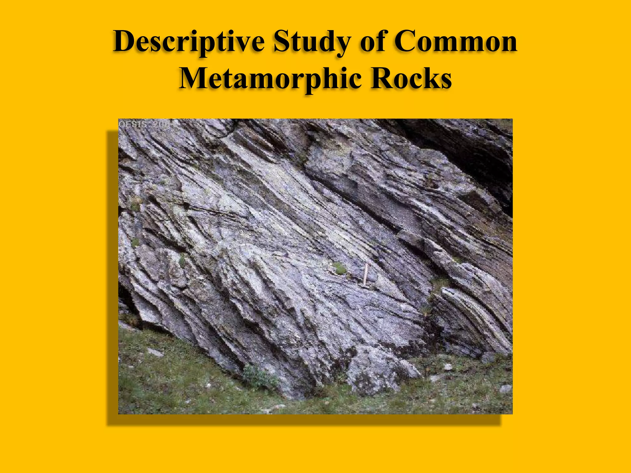 Descriptive Study of Common
Metamorphic Rocks

 