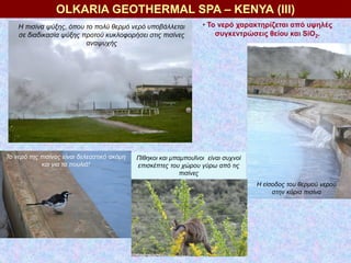 OLKARIA GEOTHERMAL SPA – ΚΕΝΥΑ (ΙΙΙ)
Το νερό της πισίνας είναι δελεαστικό ακόμη
και για τα πουλιά!
Η πισίνα ψύξης, όπου το...