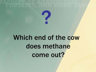 Which end of the cow
   does methane
     come out?
 