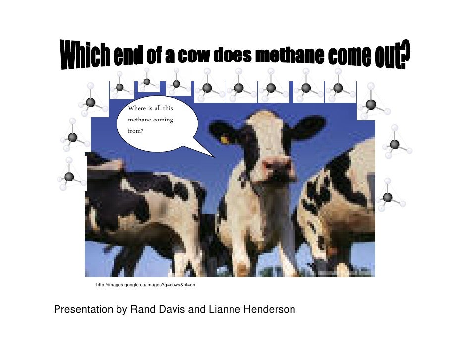 Which end of the cow does methane come out?