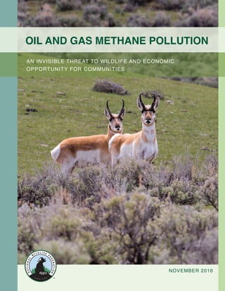 1Oil and Gas Methane Pollution: An Invisible Threat to Wildlife and Economic Opportunity for Communities
Oil and Gas Methane Pollution
An Invisible Threat to Wildlife and Economic
Opportunity for Communities
NOVEMBER 2016
 