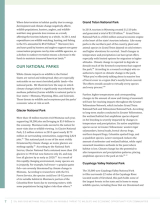 Oil and Gas Methane Pollution: An Invisible Threat to Wildlife and Economic Opportunity for Communities7
Grand Teton National Park
In 2014, tourism in Wyoming created 31,510 jobs
and generated a total of $3.33 billion.37
Grand Teton
National Park is a $502-million annual economic engine
at the heart of the state’s tourism industry. Like many
parks in the northern part of the country, plant and
animal species in Grand Teton depend on cold winters
and higher elevations for survival. Small changes in
temperature and precipitation can have great effect,
especially with limited options for migration to higher
altitudes. Climate change is expected to degrade or
denude much of the forested ecosystems that support
the park.38
According to a research ecologist who co-
authored a report on climatic change in the park,
“What you’re effectively talking about is massive loss
of forest cover in a region that’s mostly forest-covered.
The effects would cascade to virtually every species
and every process.”39
Further, higher temperatures and corresponding
changes in the amount of snow and timing of snowmelt
will have far-reaching impacts throughout the Greater
Yellowstone Network, which includes Grand Teton
National Park and Yellowstone National Park. According
to long-term studies conducted in Greater Yellowstone,
the wetland habitat that amphibian species depend
on for breeding is severely impacted by changes in
temperature and precipitation. Six native amphibian
species occur in Greater Yellowstone: western tiger
salamanders, boreal toads, boreal chorus frogs,
northern leopard frogs, Columbia spotted frogs, and
a spadefoot species. Lower snowpack reduces the
amount of meltwater and wetland habitat, while rapid
snowmelt inundates wetlands to the point where
habitat is lost. Climate change has the potential to
alter temperature and precipitation patterns, placing
amphibian species in the park at risk.40, 41
Cuyahoga Valley National Park
The 33,000-acre Cuyahoga Valley National Park
in Ohio surrounds 22 miles of the Cuyahoga River.
Located south of Cleveland, this park holds some of
the largest forests in the state and is home to many
wildlife species, including those that are threatened and
When deterioration in habitat quality due to energy
development and climate change negatively affects
wildlife populations, hunters, anglers, and wildlife-
watchers may generate less revenue as a result,
affecting the tourism industry as a whole. In 2011, total
expenditures on wildlife watching, hunting, and fishing
in the U.S. amounted to $54.9 billion.31
Moreover, fees
and taxes paid by hunters and anglers support non-game
conservation programs run by state wildlife agencies, so
a decline in outdoor recreation means a decrease in the
funds to maintain treasured American lands.32
Our National Parks
While climate impacts on wildlife in the United
States are varied and widespread, they are especially
noticeable on our most cherished public lands—the
national parks. We illustrate here the ways in which
climate change (which is significantly exacerbated by
methane pollution) harms wildlife in national parks in
four states—Montana, Wyoming, Ohio, and Colorado.
These threats to wildlife and ecosystems put the parks’
economic value at risk as well.
Glacier National Park
More than 10 million tourists visit Montana each year,
supporting 38,200 jobs and bringing in $3.9 billion to
the economy. Montana ranks second in the nation for
most visits due to wildlife viewing. In Glacier National
Park, 2.2 million visitors in 2013 spent nearly $179
million in surrounding communities, supporting 2,824
jobs.33
This national park is one of the most visibly
threatened by climate change, as iconic glaciers are
melting rapidly.34
According to the National Park
Service, Glacier National Park contained more than 150
glaciers in 1910 but now features only 26, and may
lose all glaciers by as early as 2020.35
As a result of
this rapidly changing environment, many species are
in jeopardy. For example, bull trout—a popular game
fish—are severely threatened by climate change in
Montana. According to researchers with the U.S.
Forest Service, the species could lose 18-92 percent
of its suitable habitat in Montana’s portion of the
Columbia River basin due to warming waters, with
some populations facing higher risks than others.36
 