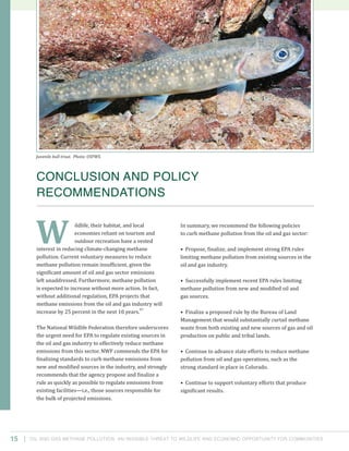 Oil and Gas Methane Pollution: An Invisible Threat to Wildlife and Economic Opportunity for Communities15
In summary, we recommend the following policies
to curb methane pollution from the oil and gas sector:
• Propose, finalize, and implement strong EPA rules
limiting methane pollution from existing sources in the
oil and gas industry.
• Successfully implement recent EPA rules limiting
methane pollution from new and modified oil and
gas sources.
• Finalize a proposed rule by the Bureau of Land
Management that would substantially curtail methane
waste from both existing and new sources of gas and oil
production on public and tribal lands.
• Continue to advance state efforts to reduce methane
pollution from oil and gas operations, such as the
strong standard in place in Colorado.
• Continue to support voluntary efforts that produce
significant results.
ildlife, their habitat, and local
economies reliant on tourism and
outdoor recreation have a vested
interest in reducing climate-changing methane
pollution. Current voluntary measures to reduce
methane pollution remain insufficient, given the
significant amount of oil and gas sector emissions
left unaddressed. Furthermore, methane pollution
is expected to increase without more action. In fact,
without additional regulation, EPA projects that
methane emissions from the oil and gas industry will
increase by 25 percent in the next 10 years.
97
The National Wildlife Federation therefore underscores
the urgent need for EPA to regulate existing sources in
the oil and gas industry to effectively reduce methane
emissions from this sector. NWF commends the EPA for
finalizing standards to curb methane emissions from
new and modified sources in the industry, and strongly
recommends that the agency propose and finalize a
rule as quickly as possible to regulate emissions from
existing facilities—i.e., those sources responsible for
the bulk of projected emissions.
CONCLUSION AND POLICY
RECOMMENDATIONS
W
Juvenile bull trout. Photo: USFWS.
 