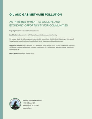 2 Oil and Gas Methane Pollution: An Invisible Threat to Wildlife and Economic Opportunity for Communities
Oil and Gas Methane Pollution
An Invisible Threat to Wildlife and
Economic Opportunity for Communities
Copyright © 2016 National Wildlife Federation
Lead Authors: Shannon Heyck-Williams, Lauren Anderson, and Jim Murphy.
We wish to thank the following contributors to this report: Dave Dittloff, David Ellenberger, Tara Losoff,
Tracy Sabetta, Andy Schulteiss, Frank Szollosi, Garrit Voggesser, and Kate Zimmerman.
Suggested citation: Heyck-Williams, S., L. Anderson, and J. Murphy. 2016. Oil and Gas Methane Pollution:
An Invisible Threat to Wildlife and Economic Opportunity for Communities. National Wildlife Federation:
Washington, DC.
Cover image: Pronghorn. Photo: Flickr.
National Wildlife Federation
1990 K Street NW
Washington, DC 20006
www.nwf.org
 