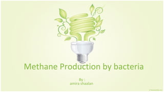 Methane Production by bacteria
                By :
           amira shaalan
 