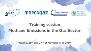 Training session
Methane Emissions in the Gas Sector
Vienna, 26th and 27th of November of 2019
 