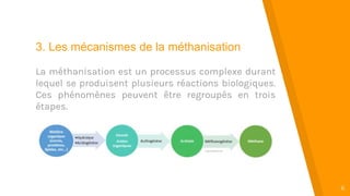 “
6
3. Les mécanismes de la méthanisation
La méthanisation est un processus complexe durant
lequel se produisent plusieurs réactions biologiques.
Ces phénomènes peuvent être regroupés en trois
étapes.
 
