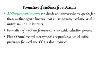 Formation of methane from Acetate 
• Methanosarcina barkeri is a classic and representative species for 
those methanogenic bacteria that utilize acetate, methanol and 
methylamine as substrates. 
• Formation of methane from acetate is a oxidoreduction process. 
• First CO and methyl coenzyme M are produced which is the 
precursor for methane. CO2 is also produced. 
 