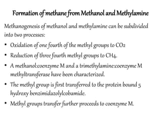 Formation of methane from Methanol and Methylamine 
Methanogenesis of methanol and methylamine can be subdivided 
into two processes: 
• Oxidation of one fourth of the methyl groups to CO2 
• Reduction of three fourth methyl groups to CH4. 
• A methanol:coenzyme M and a trimethylamine:coenzyme M 
methyltransferase have been characterized. 
• The methyl group is first transferred to the protein bound 5 
hydroxy benzimidazolylcobamide. 
• Methyl groups transfer further proceeds to coenzyme M. 
