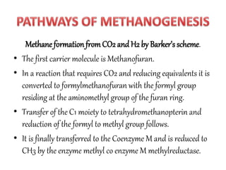 Methane formation from CO2 and H2 by Barker’s scheme. 
• The first carrier molecule is Methanofuran. 
• In a reaction that requires CO2 and reducing equivalents it is 
converted to formylmethanofuran with the formyl group 
residing at the aminomethyl group of the furan ring. 
• Transfer of the C1 moiety to tetrahydromethanopterin and 
reduction of the formyl to methyl group follows. 
• It is finally transferred to the Coenzyme M and is reduced to 
CH3 by the enzyme methyl co enzyme M methylreductase. 
 