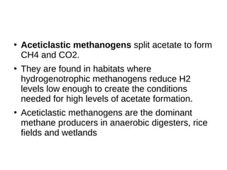 ●
Aceticlastic methanogens split acetate to form
CH4 and CO2.
●
They are found in habitats where
hydrogenotrophic methanogens reduce H2
levels low enough to create the conditions
needed for high levels of acetate formation.
●
Aceticlastic methanogens are the dominant
methane producers in anaerobic digesters, rice
fields and wetlands
 