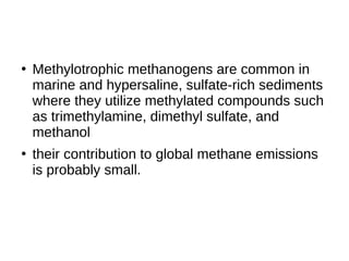 ●
Methylotrophic methanogens are common in
marine and hypersaline, sulfate-rich sediments
where they utilize methylated compounds such
as trimethylamine, dimethyl sulfate, and
methanol
●
their contribution to global methane emissions
is probably small.
 
