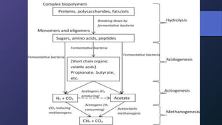METHANOGENESIS of microbial physiology in microbiology | PPTX