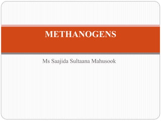 Ms Saajida Sultaana Mahusook
METHANOGENS
 