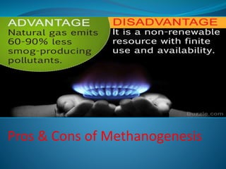 Pros & Cons of Methanogenesis
 