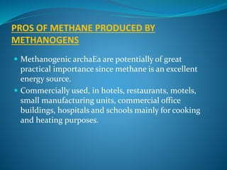 PROS OF METHANE PRODUCED BY
METHANOGENS
 Methanogenic archaEa are potentially of great
practical importance since methane is an excellent
energy source.
 Commercially used, in hotels, restaurants, motels,
small manufacturing units, commercial office
buildings, hospitals and schools mainly for cooking
and heating purposes.
 