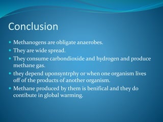Conclusion
 Methanogens are obligate anaerobes.
 They are wide spread.
 They consume carbondioxide and hydrogen and produce
methane gas.
 they depend uponsyntrphy or when one organism lives
off of the products of another organism.
 Methane produced by them is benifical and they do
contibute in global warming.
 