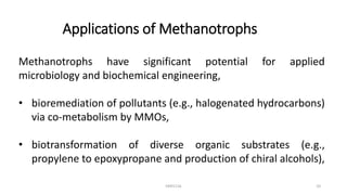 Applications of Methanotrophs
Methanotrophs have significant potential for applied
microbiology and biochemical engineering,
• bioremediation of pollutants (e.g., halogenated hydrocarbons)
via co-metabolism by MMOs,
• biotransformation of diverse organic substrates (e.g.,
propylene to epoxypropane and production of chiral alcohols),
KKR1116 10
 