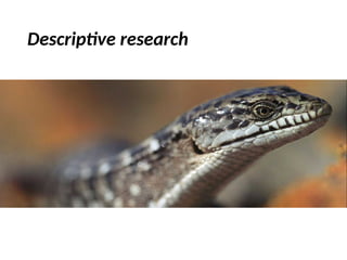Descriptive research
 