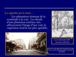 c)c) Les éléments de la structure urbaineLes éléments de la structure urbaine
-La végétation qui la borde…
Les plantations donnent de la
continuité à la voie. Les détails
d’une plantation renforce très
efficacement l’image d’une voie, la
végétation rend la rue plus agréable.
La Commonwealth
Avenue à Boston.
Vue sur le Boulevard Colonel
LOTFI
 