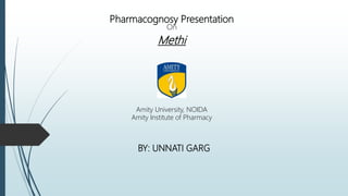 Pharmacognosy Presentation
On
Methi
Amity University, NOIDA
Amity Institute of Pharmacy
BY: UNNATI GARG
 
