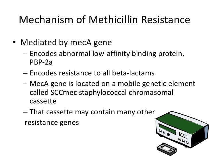 Methicillin resistant staphylococcus aureus