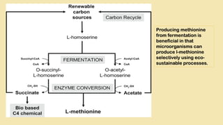 Producing methionine
from fermentation is
beneficial in that
microorganisms can
produce l-methionine
selectively using eco-
sustainable processes.
 