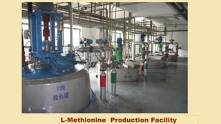 L-Methionine Production Facility
 