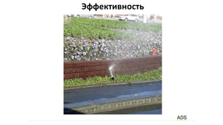 Эффективность
 