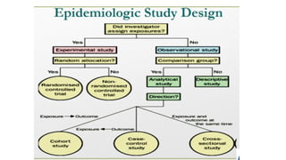 Methoda & Materials.pptx research methods | PPTX