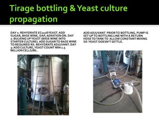 DAY 1: REHYDRATE EC1118 YEAST. ADD         ADD ADJUVANT PRIOR TO BOTTLING. PUMP IS
SUGAR, BASE WINE, DAP, AERATION ON. DAY    SET UP TO BOTTLING LINE WITH A RETURN
2: BULKING UP YEAST (BASE WINE INTO        HOSE TO TANK TO ALLOW CONSTANT MIXING
STARTER CULTURE). ADD SUGAR TO BASE WINE   SO YEAST DOESN’T SETTLE.
TO REQUIRED RS. REHYDRATE ADJUVANT. DAY
3: ADD CULTURE, YEAST COUNT MIN 1.5
MILLION CELLS/ML.
 