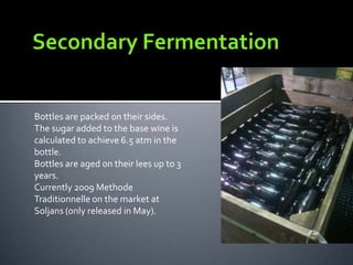 Bottles are packed on their sides.
The sugar added to the base wine is
calculated to achieve 6.5 atm in the
bottle.
Bottles are aged on their lees up to 3
years.
Currently 2009 Methode
Traditionnelle on the market at
Soljans (only released in May).
 