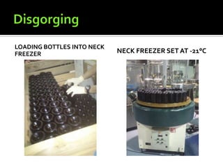 LOADING BOTTLES INTO NECK
FREEZER                     NECK FREEZER SET AT -21°C
 