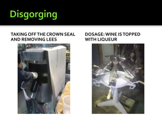 TAKING OFF THE CROWN SEAL   DOSAGE: WINE IS TOPPED
AND REMOVING LEES           WITH LIQUEUR
 