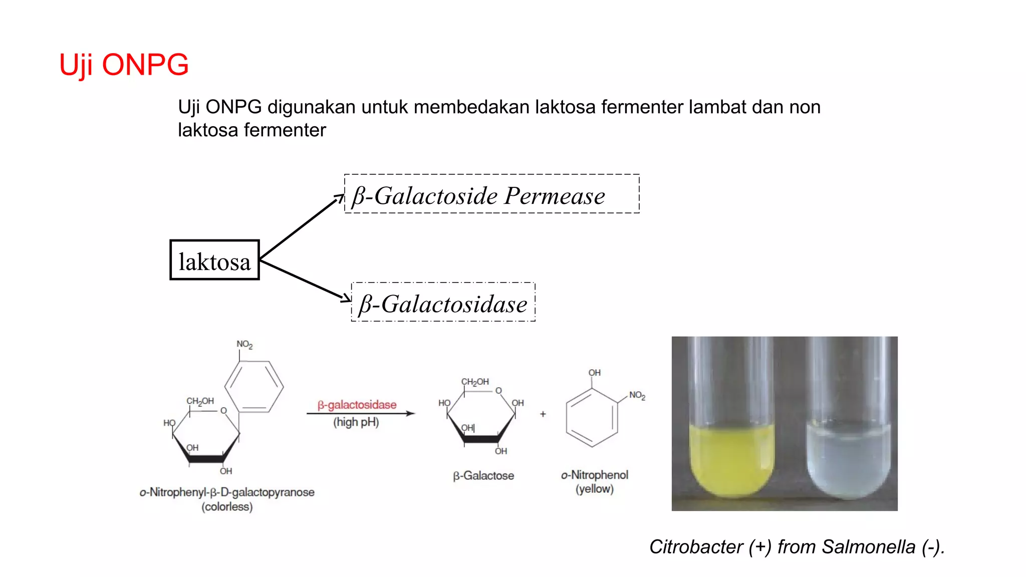 Methode validation for e.coli
