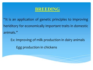 BREEDING
“It is an application of genetic principles to improving
heriditory for economically important traits in domestic
animals.”
Ex: Improving of milk production in dairy animals
Egg production in chickens
 