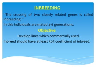 Inbreeding Path Method of breeding | PPTX
