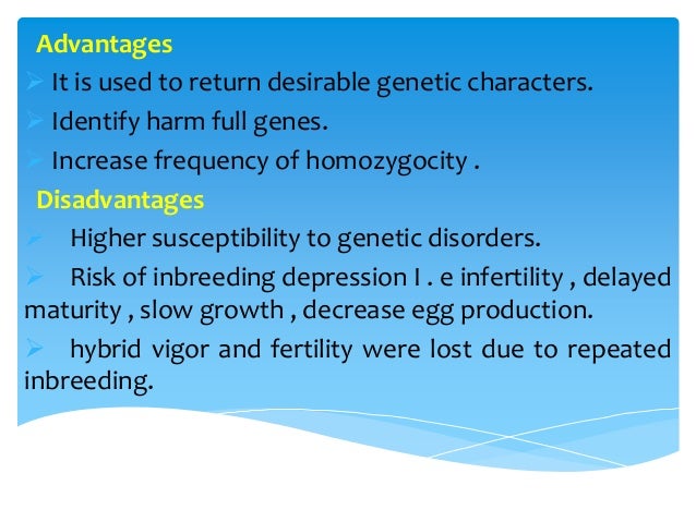 advantages and disadvantages of cross breeding in crops Development of genetically modified crops or domestic livestock could reduce genetic cause more serious diseases and have a tendency to cross breed species. advantages and disadvantages of cross breeding in crops Development of genetically modified crops or domestic livestock could reduce genetic cause more serious diseases and have a tendency to cross breed species.