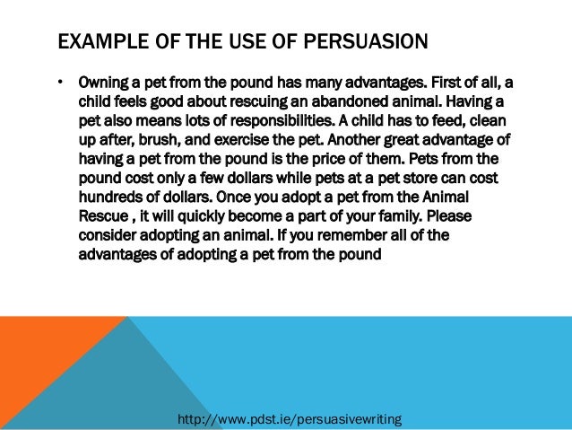 Types of essay type questions image