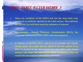 HOW DOES ELISA WORK ?
 There are variations of the ELISA test but the most basic type
consist of an antibody attached to the solid surface. This antibody
has affinity for (will latch onto) the substance of interest.
 For example… Human Chorionic Gonadotropin (HCG), the
commonly measured protein which indicates pregnancy.
 A mixture of purified HCG linked to an enzyme and sample
(blood, urine, etc.) under test are added to the test system. If no
HCG is present in the test sample the only HCG with linked
enzyme will bind. The more HCG which is present in the test
sample the less enzyme linked HCG will bind.
 