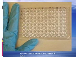 A 96-WELL MICROTITER PLATE USED FOR
ELISA
 