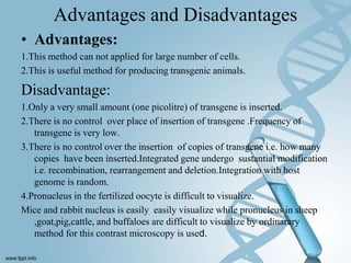 Advantages and Disadvantages
• Advantages:
1.This method can not applied for large number of cells.
2.This is useful method for producing transgenic animals.
Disadvantage:
1.Only a very small amount (one picolitre) of transgene is inserted.
2.There is no control over place of insertion of transgene .Frequency of
transgene is very low.
3.There is no control over the insertion of copies of transgene i.e. how many
copies have been inserted.Integrated gene undergo sustantial modification
i.e. recombination, rearrangement and deletion.Integration with host
genome is random.
4.Pronucleus in the fertilized oocyte is difficult to visualize.
Mice and rabbit nucleus is easily easily visualize while pronucleus in sheep
,goat,pig,cattle, and buffaloes are difficult to visualize by ordinarary
method for this contrast microscopy is used.
 