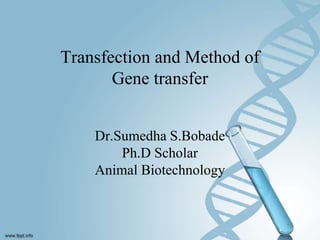 Transfection and Method of
Gene transfer
Dr.Sumedha S.Bobade
Ph.D Scholar
Animal Biotechnology
 