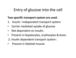 Entry of glucose into the cell
Two specific transport system are used :
1. Insulin –independent transport system:
• Carrier mediated uptake of glucose
• Not dependent on insulin.
• Not dependent on insulin.
• Present in hepatocytes, erythosytes & brain.
2. Insulin dependent transport system :
• Present in Skeletal muscle.
 