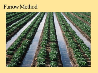 FurrowMethod
 