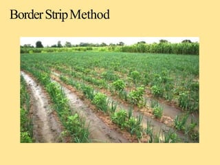 Method of irrigation