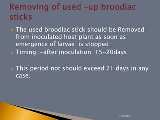  The used broodlac stick should be Removed
from inoculated host plant as soon as
emergence of larvae is stopped
 Timing ;-after inoculation 15-20days
 This period not should exceed 21 days in any
case.
4/6/2022
 