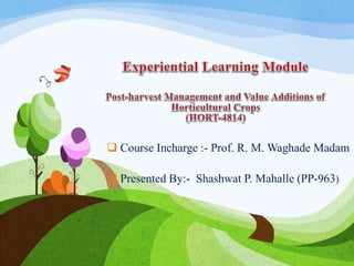  Course Incharge :- Prof. R. M. Waghade Madam
 Presented By:- Shashwat P. Mahalle (PP-963)
 