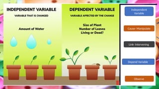 Independent
Variable
Observe
Link- Intervening
Depend Variable
Cause- Manipulate
 