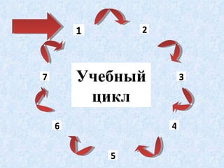 1 2 6 7 3 4 5 Учебный цикл 